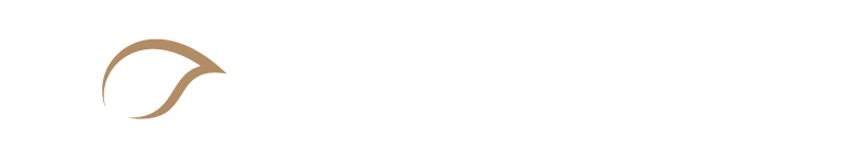 Seamless Health Logo on a dark background